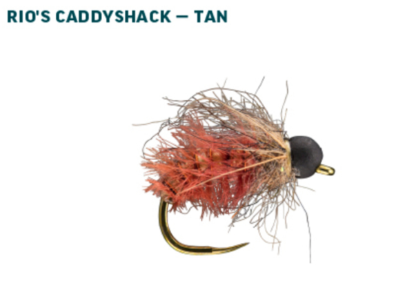 RIO Euro Nymph Fly Assortment RIO Euro Nymph Fly Assortment